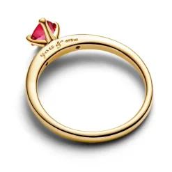 Pandora Bague<Bague Explosion d'Amour