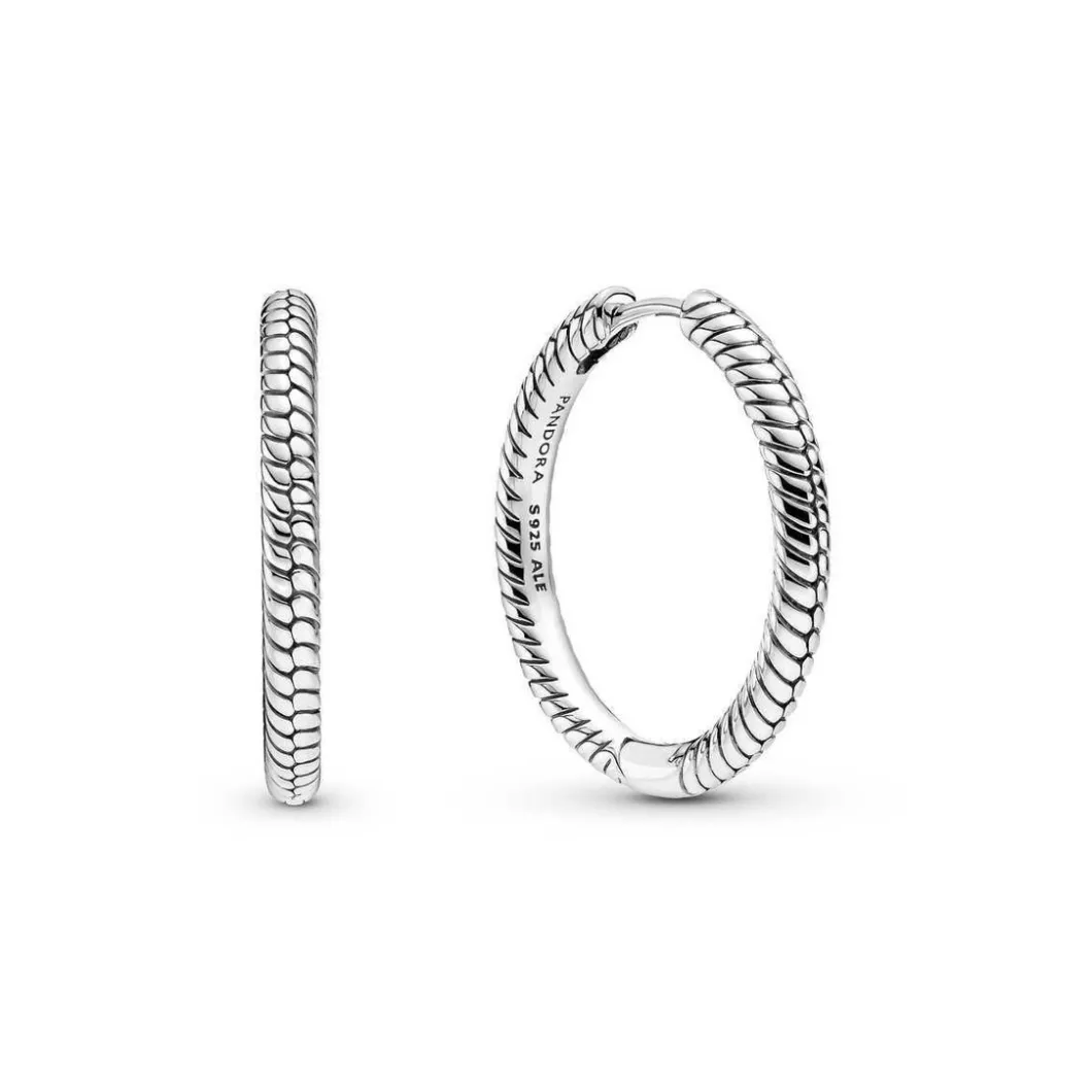 Pandora Boucles D'Oreilles<Boucles d'oreilles Créoles Porte-Charms Moments Moments - 299532C00 Argent