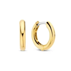 Ti Sento Boucles D'Oreilles<Boucles D'Oreilles - 7812YS Argent Anneaux Doré