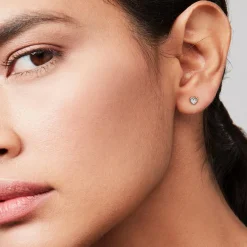 Ted Baker Boucles D'Oreilles<Boucles oreilles Femme TBJ2398-01-02 Transparent