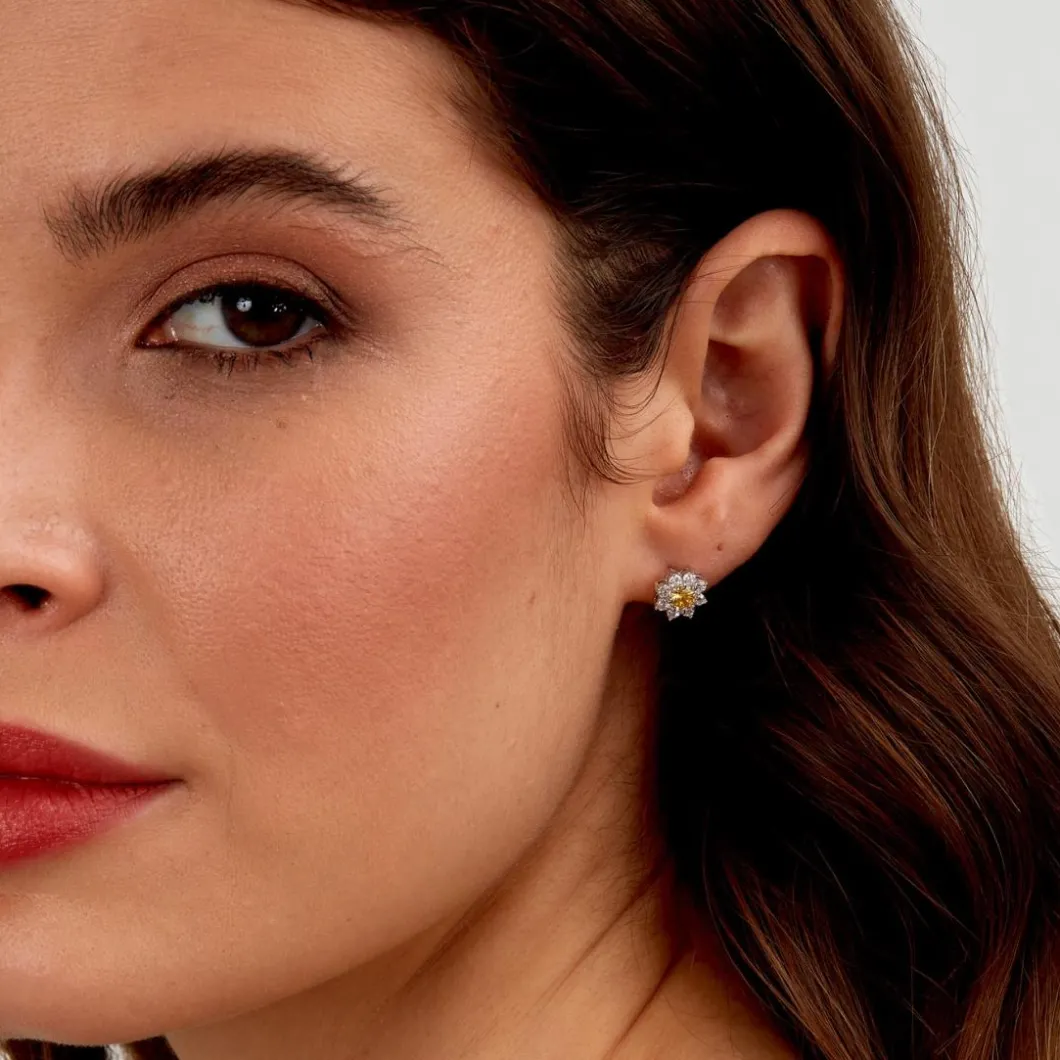 Morellato Boucles D'Oreilles<Boucles oreilles Tesori - SAIW188 Argent