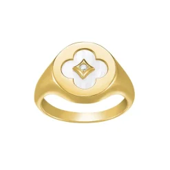 Charles Garnier Bijoux Bracelets<Bracelet Femme Legende - AGF170150R Argent