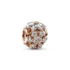 Pandora Charms<Charm Timeless- Rond Herbier Scintillant