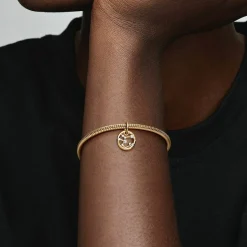 Pandora Charms<Charm Pendant Signe du Sagittaire