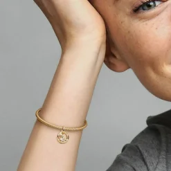 Pandora Charms<Charm Pendant Signe du Verseau