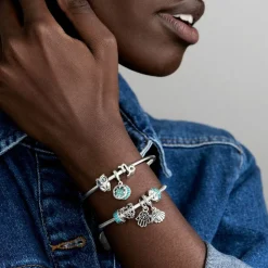 Pandora Charms<Charm Zodiaque Capricorne Signe Astrologique - Argent