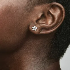 Pandora Boucles D'Oreilles<Clous d'oreilles Bijoux 299239C01 - Timeless