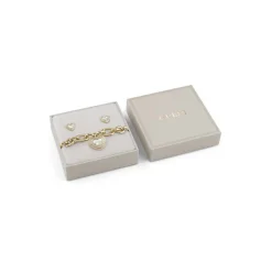 Guess Bijoux Coffret<Coffret Amami Acier Doré Gm Et Cœur Nacré Et Pavé