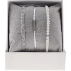 Les Interchangeables Coffret<Coffret A48537 - Strass Box Mini Plaque Ligne Ornements Palladium / Cristal