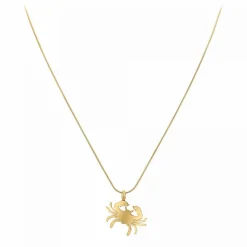 Athème Collier Et Pendentif<Collier B2427-CANCER