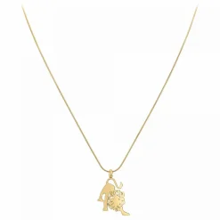 Athème Collier Et Pendentif<Collier Femme B2427-LION -