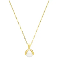 Jourdan Collier Et Pendentif<Collier Femme Athéna - AJF170122N Argent