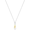 Jourdan Collier Et Pendentif<Collier Femme Luna - AJF170177N Argent