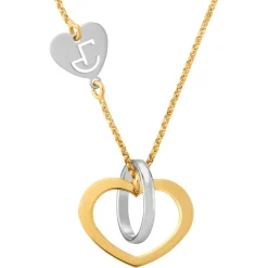 Jourdan Collier Et Pendentif<Collier Femme Valentine - AJF210001N Argent