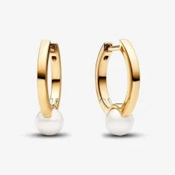 Pandora Boucles D'Oreilles<Créoles Femme métal doré à l'or fin avec perle Timeless