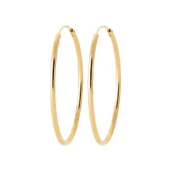 Maison de la Bijouterie Boucles D'Oreilles<Créoles Sensimio Y0YY40 Plaqué or