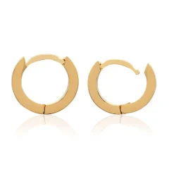 Maison de la Bijouterie Boucles D'Oreilles<Créoles Sensimio Y6ZYZ00 Plaqué or