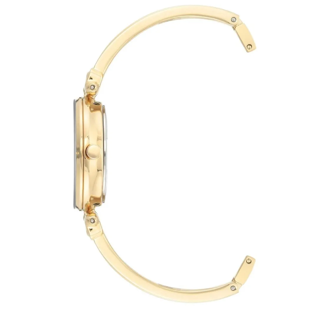 Anne Klein Montre Acier<Montre AK-1980PLGB