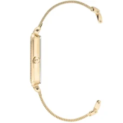 Anne Klein Montre Acier<Montre AK-3642GBST Femme