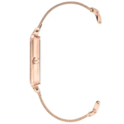 Anne Klein Montre Acier<Montre AK-3642RGST Femme