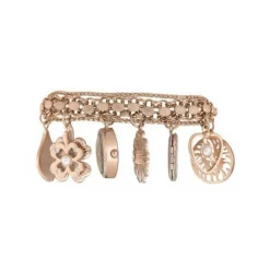 Anne Klein Montre Acier<Montre 10-8096RMCH Femme