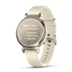 Garmin Montre Connectée|Montre Connectée<Montre Connectée 010-02839-00 - Lily® 2