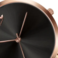 Emily Westwood Montres Montre Cuir<Montre EAI-B052R.14 Emily Westwood