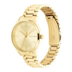 Calvin Klein Montres Montre Acier<Montre femme 25200043 ICONIC BRACELET