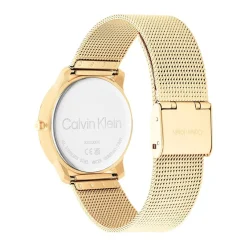 Calvin Klein Montres Montre Acier<Montre femme 25200034 ICONIC MESH