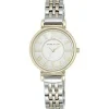 Anne Klein Montre Acier<Montre Femme AK-N2159SVTT -