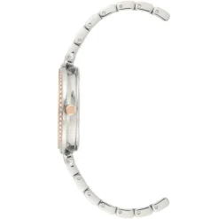 Anne Klein Montre Acier<Montre Femme AK-3559RTST -