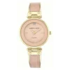 Anne Klein Montre Acier<Montre Femme AK-N7605CHRM - Bracelet Acier Doré