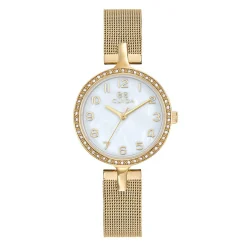 Clyda Montre Acier<Montre femme CLA0774PAAX -