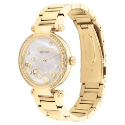 Coach Montre Acier<Montre Femme Cary - 14504265 Bracelet Acier Doré