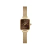 Daniel Wellington Montres Montre Acier<Montre Femme Daniel Wellington Evergold - DW00100654 Bracelet Acier Doré