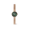 Daniel Wellington Montres Montre Acier<Montre Femme Daniel Wellington Petite Mini-DW00100742
