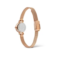 Daniel Wellington Montres Montre Acier<Montre Femme Daniel Wellington Petite Mini-DW00100742