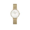 Daniel Wellington Montres Montre Acier<Montre Femme Daniel Wellington Bezel - DW00100662 Bracelet Acier Doré