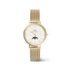 Daniel Wellington Montres Montre Acier<Montre Femme Daniel Wellington Petite Moonphase-DW00100771