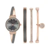 Anne Klein Montre Acier<Montre femme Promo Box Set AK-2716GYST