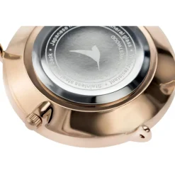 Emily Westwood Montres Montre Cuir<Montre LAR-B029R Emily Westwood